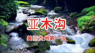 逗小猴开心系列200